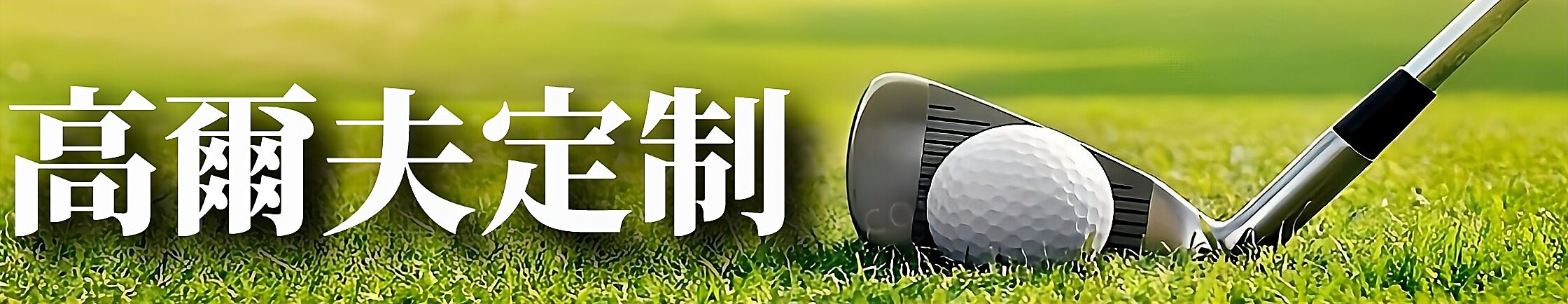 高爾夫定制